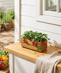 Premium Acacia Wood Planter Box With Crate Style Design Built To Last on windowsill with strawberries; 17 inch, golden walnut color