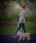 Person walking dog wearing Rechargeable USB LED Headlamp With Dual 3W LEDs, Water Resistant Build, Adjustable Comfort Strap