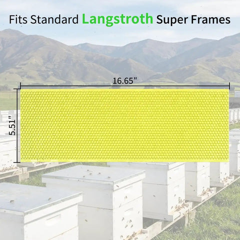 20 Pack Waxed Coated Beehive Foundation Sheets For Beekeeping Five And Five Eighths Inch Plastic Honeycomb Frames Green