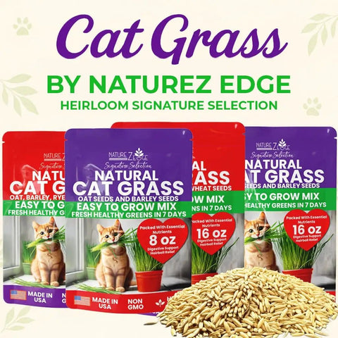 Cat Grass Seeds And Catnip Seeds 3 Pack Kit For Indoor Cats, Oat And Barley Seed Mix, Easy Grow Indoor Cat Garden