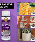 Spray Gloss Finish Acrylic Sealer 6 Oz Clear Coat For DIY Indoor And Outdoor Projects with examples on glass, metal, and wood