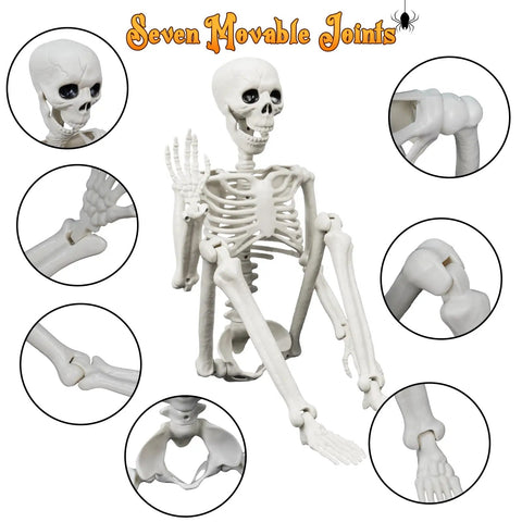 Model skeleton with seven movable joints highlighted, showing detailed close-ups of joints. Halloween decor for anatomical study or display.