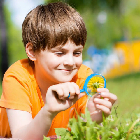 Child using a blue 5 inch magnifying glass from the Colorful 48 Pack 5 Inch Kids Magnifying Glass Set for outdoor exploration.