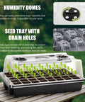 Seed Starter Tray Kit With Grow Lights, 40-cell tray with adjustable humidity dome and drainage holes on wooden surface.