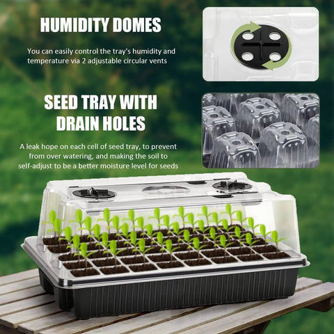 Seed Starter Tray Kit With Grow Lights, 40-cell tray with adjustable humidity dome and drainage holes on wooden surface.
