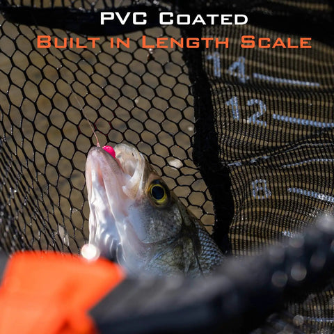 Fish caught in foldable lightweight landing net with built-in length scale, featuring PVC coated mesh and extendable aluminum handle.