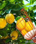Go To 13 Foot Adjustable Stainless Steel Fruit Picker Pole With Large Metal Basket Fruit Catcher For Apples Mangoes