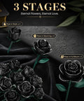 Gothic Dope Matte Black Rose DIY Building Kit With 634 Pieces For A Realistic 12 Rose Bouquet Showing Full Half Bloom And Bud Stages, Ideal Home Office Decor Gift For Adults And Kids Ages 6 Plus.