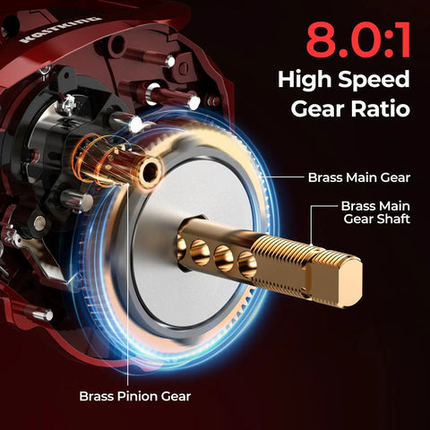 Internal view of Royale Legend Glory Baitcasting Reel With 8.0 To 1 Gear Ratio showcasing brass gears and high speed mechanism.