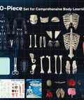 Glow In The Dark Skeleton Model Kit For Hands On Interactive Anatomy Practice 40 Piece Science Toy displayed parts and manuals