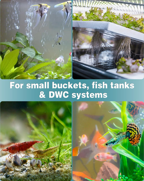 Collage of aquariums with fish, shrimp, and plants for 0.6 Inch Air Stone Cylinder Diffuser For Nano Pumps And Small Tanks 12 Pack