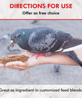 Pigeon eating Pigeon Grit For Strong Muscles And Bones, Nutritious Bird Food For Grit Eating Birds, Supports Digestion from hand