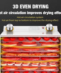 Six Tray Food Dehydrator Machine Harnessing Four Hundred Watt Power And Reliable Thermostat shows hot air circulation drying tomatoes.