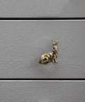 Solid Brass Rabbit Cabinet Pull Set With Vintage Brass Knobs Antique Finish Drawer Pulls for kitchen cabinets and wardrobes.