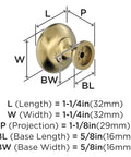 Edona Polished Brass Cabinet Knob 1-1/4 Inch Diameter For Cabinets And Drawers with measurement details