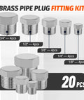 Image of 20 Pcs 304 Stainless Steel Hex Pipe Plug Fittings Kit With 1/8 In, 1/4 In, 3/8 In, 1/2 In, 3/4 In NPT Male Threaded Plugs displayed.