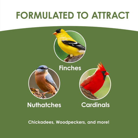 Top Shelf No Mess Wild Bird Seed Mix For Backyard Songbirds featuring Finches, Nuthatches, and Cardinals.