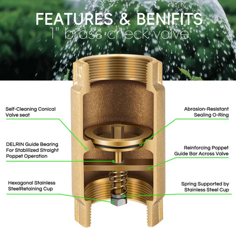 Cross-section view of a 1-inch brass check valve with backflow preventer, showing internal spring, valve seat, and O-ring.