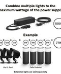 Diagram showing combination of 15W Lily XL Spot and 8W Calla Pedestal with Outdoor 8 Foot Low Voltage Light Cable With T Connector setup.