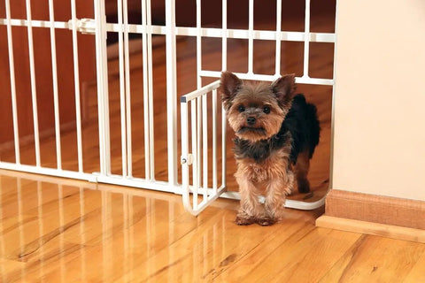 Small dog through pet door of No Drill Pressure Mount Metal Dog Gate For Doorways And Hallways Expandable From 22 To 38 Inches 18 Inches Tall