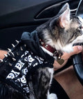 Cat wearing a punk style hoodie with cone spikes and skull design, sitting in a car next to a hand on the steering wheel.