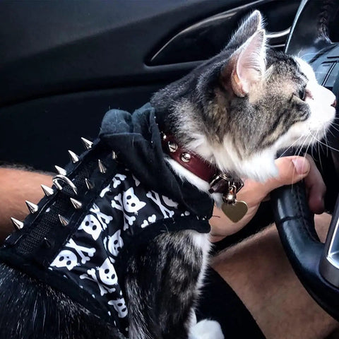 Cat wearing a punk style hoodie with cone spikes and skull design, sitting in a car next to a hand on the steering wheel.