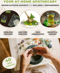 Hands preparing herbs from 40 Medicinal And Tea Herb Seeds Variety Pack For Indoor And Outdoor Gardens, showcasing natural wellness use.
