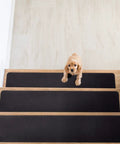Non Slip Carpet Stair Treads Set Of 14 Black 6x30 With Pre Applied Adhesive for Indoor And Outdoor Steps with dog on stairs