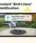 Smart Bird Bath With Dual Lens Camera Solar Powered Fountain Stand For Bird Watching Auto Capture Bird Videos And AI Identification A Cool Gift For Bird Lovers Who Love Real Time Feeds showing bird visit alert