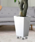 Furniture Caster Wheels with Brake, ABS Portable Base for Dresser under a potted plant, clear wheels on a white planter.