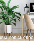 Modern room with a desk and chair next to a large potted plant, ideal for organizing with Cord Cover Kit With CordMate Channel System for Walls.