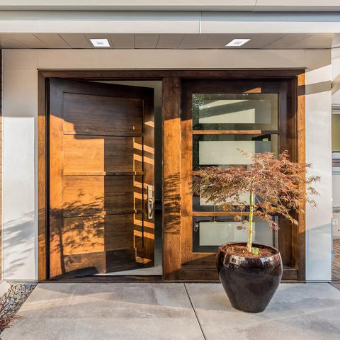 Modern wooden front door with large pot plant nearby in outdoor setting.
