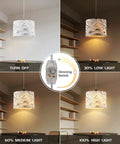 Plug In Pendant Light With Dimmable Switch, Hanging Lamp On A 15 Ft Clear Cord For Bedroom And Kitchen Island, Bulb Included