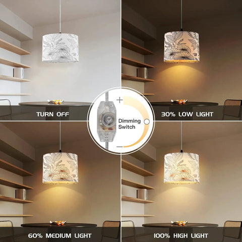 Plug In Pendant Light With Dimmable Switch, Hanging Lamp On A 15 Ft Clear Cord For Bedroom And Kitchen Island, Bulb Included