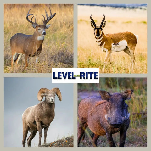 Two Pack Precision Leveling Hangers For Taxidermy Big Game Deer Head Trophy Mounts PN 1008 product with wildlife images.