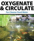 PondAir 2 Complete Aeration Kit For Ponds Up To 1000 Gallons With Whisper Quiet Oxygenation Bubbler System in action in pond.