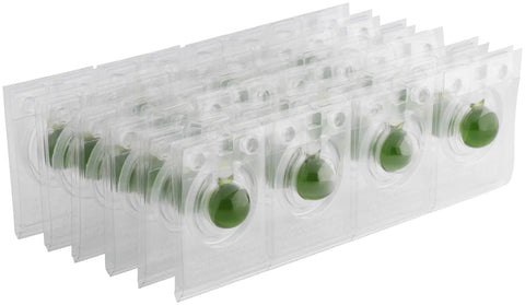 Waterless Urinal Maintenance Balls Pack of 24 for Easy Low Water Cleaning, Lightly Scented, Eco Friendly, Individually Wrapped for Clean Restrooms