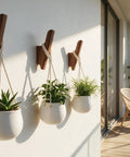 Rock-Solid Natural Walnut Wood 4 Pack Wall-Mounted Coat Hooks for a Super Entryway Glow Up handcrafted hooks holding planters.