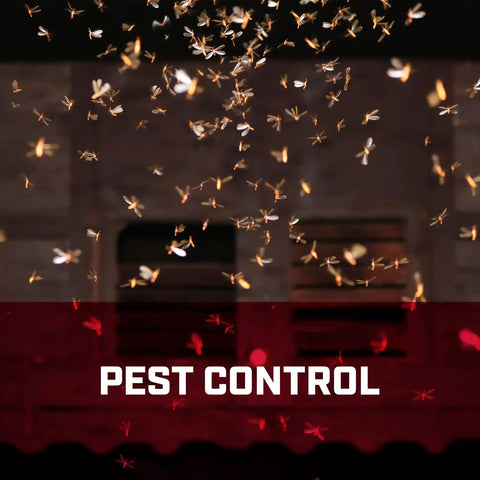 Swarm of insects in spotlight, "Pest Control" text overlay, related to Two Gallon Tri Poxy Open Head Sprayer For Pros And DIY Garden Care