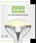 250 Watt R40 Heat Lamp Bulbs Pack Of 2 Clear Incandescent Reflector Lamps With E26 Base 120V 2000 Hour Rating