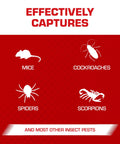 Heavy Duty Mouse Glue Traps With Eugenol For Rock Solid Grip And Instant Pest Control Pack Of Six images of pests caught.