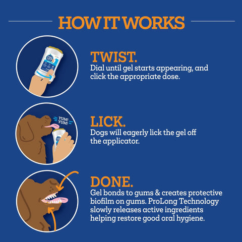 Dog Dental Gel That Cleans Teeth And Freshens Breath All Day For Your Pup With Peanut Butter Flavor 2 Oz 30 Day Supply Easy To Use Gel application instructions