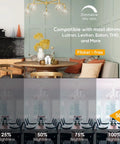 LED Filament Chandelier Bulbs Dimmable 5.5W 60W Equivalent Daylight White 5000K 550 Lumens B11 E12 Candelabra Clear Glass Candle Bulbs 6 Pack UL Listed For A Dope Home Lighting Upgrade, showcasing dimmable lighting setup with varying brightness levels from 25% to 100% in a dining area.