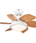 Quince 24 Inch Indoor Ceiling Fan With Light Dope White Finish Dimmable 16W LED With Opal Frosted Glass Reversible White And Beech Blades