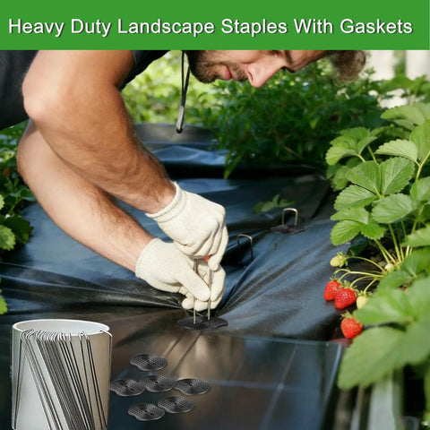 200 Pack Landscape Staples Garden Stakes 6 Inch 11 Gauge Galvanized Ground Pins For Weed Barrier Irrigation Tubing And Lawn Decor Heavy Duty Anti Rust Construction in use for garden setup.