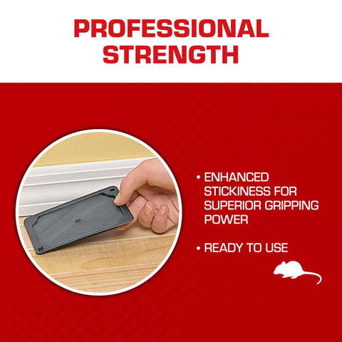Heavy Duty Mouse Glue Traps With Eugenol For Rock Solid Grip And Instant Pest Control Pack Of Six, enhanced stickiness for superior grip.