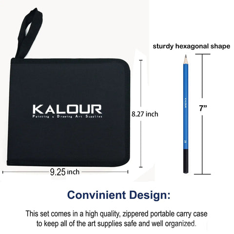 Pro Grade Sketching Pencils Set With Charcoal And Graphite Portable Zippered Case Includes 12 Graphite Pencils 5H To 8B 3 Charcoal Pencils