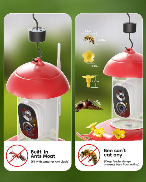 Hummingbird Feeder With Camera For Outdoors Solar Powered 2K Live Video AI Bird ID Ant Guard Base Bee Proof With 3 Feeding Ports