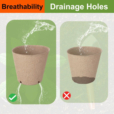 Bulk 130 Pack Organic Peat Pots 3 Inch Top Opening Plant Starter Pots With Drainage Holes comparison showing proper drainage.