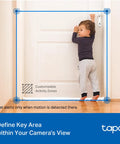 Indoor Outdoor Pan Tilt Wired Security Camera Two Pack For Baby Monitoring And Person Detection With Cry Alerts features.